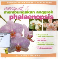Merawat & membungakan anggrek phalaenopsis