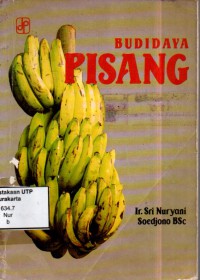 Budidaya pisang