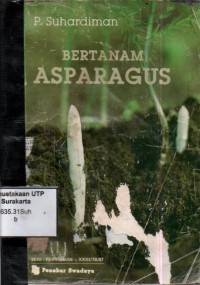 Bertanam asparagus