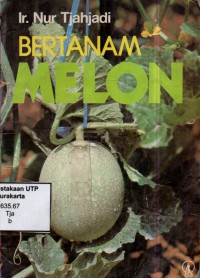 Bertanam melon