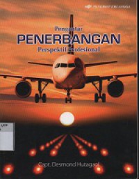 Penerbangan perspektif profesional